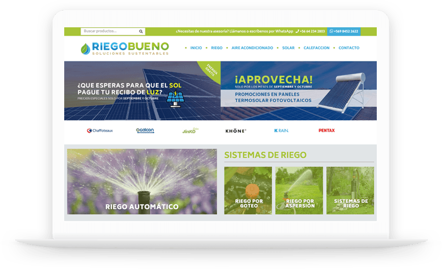 Riego Bueno